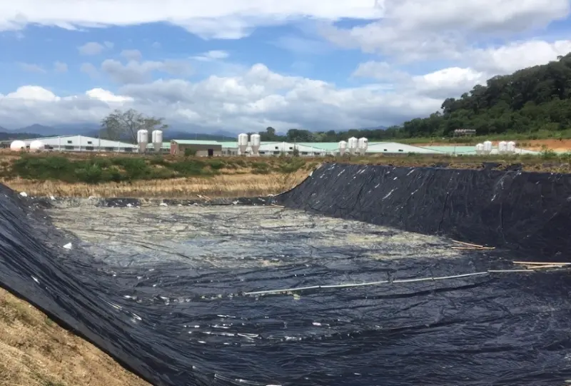 Hầm Biogas Phủ Bạt Nhựa HDPE - Giải Pháp Bền Vững Cho Năng Lượng Tái Tạo