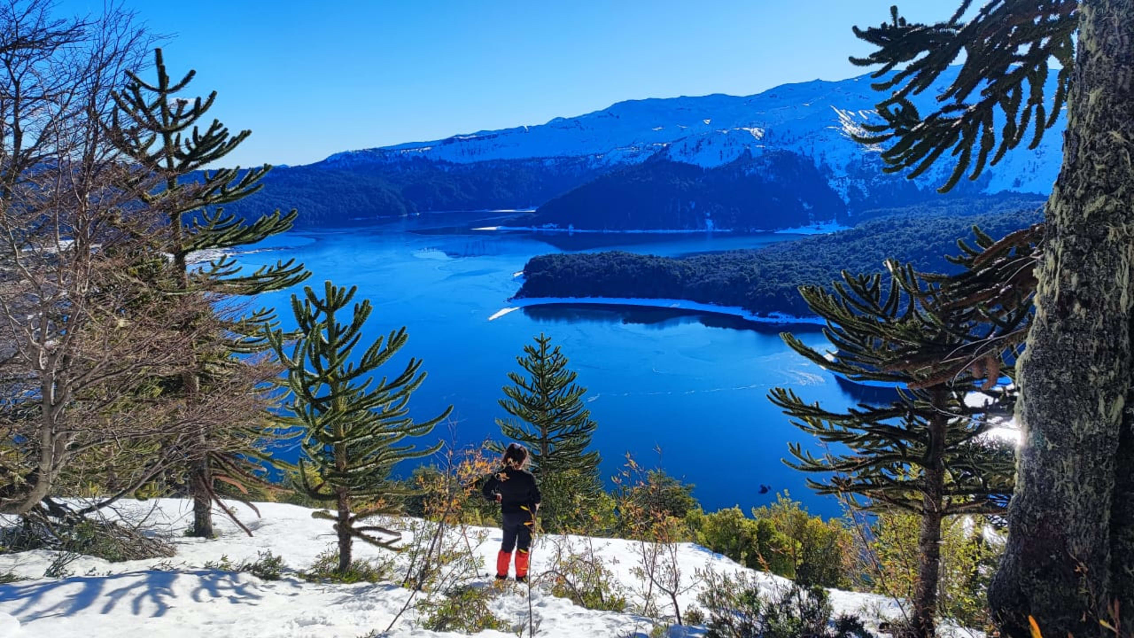 Guía completa para visitar el Parque Nacional Conguillío: cómo llegar, qué ver y consejos