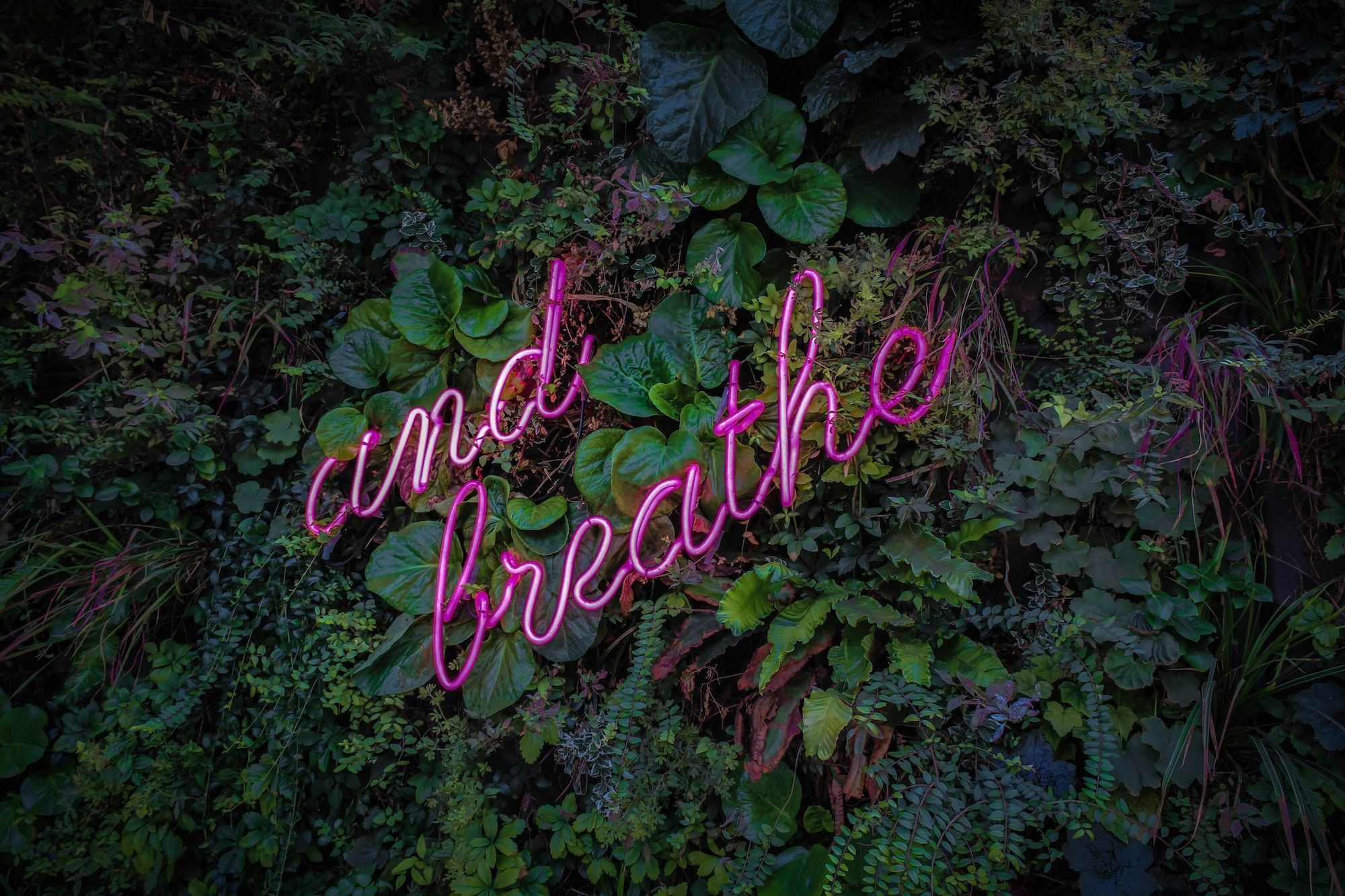 "And Breathe" neo light in plants
