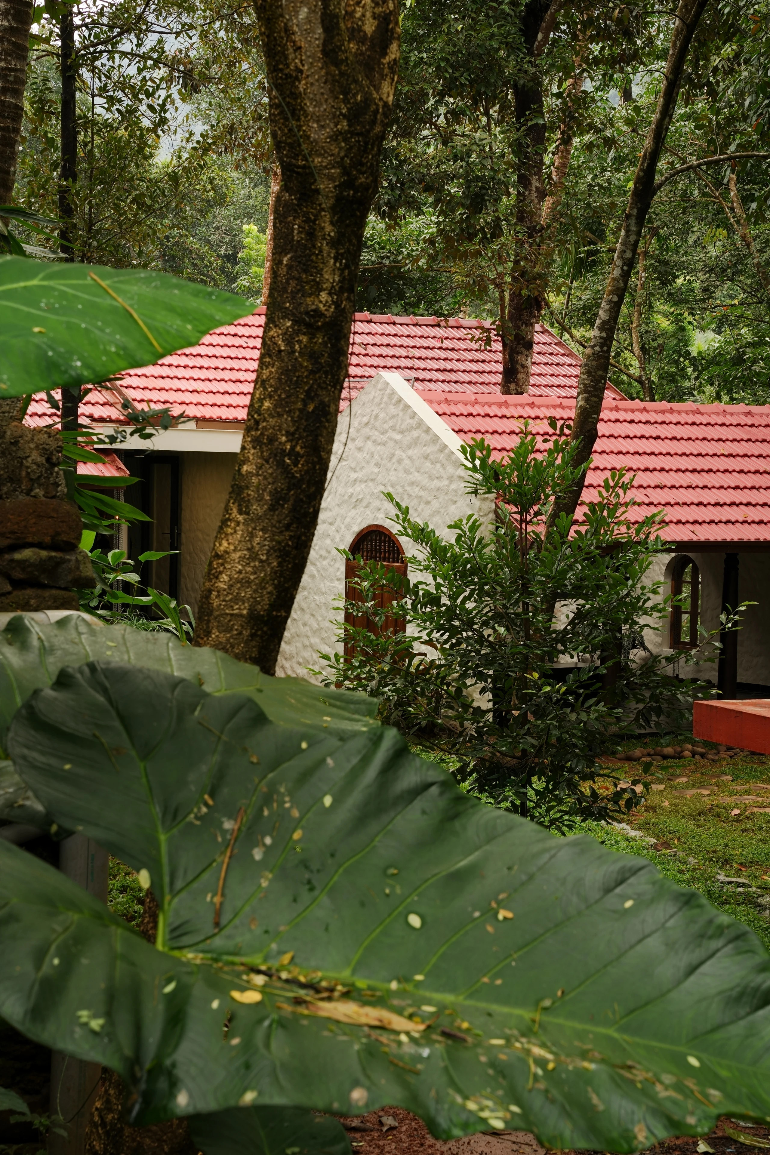 Kakkanattu Farmshed