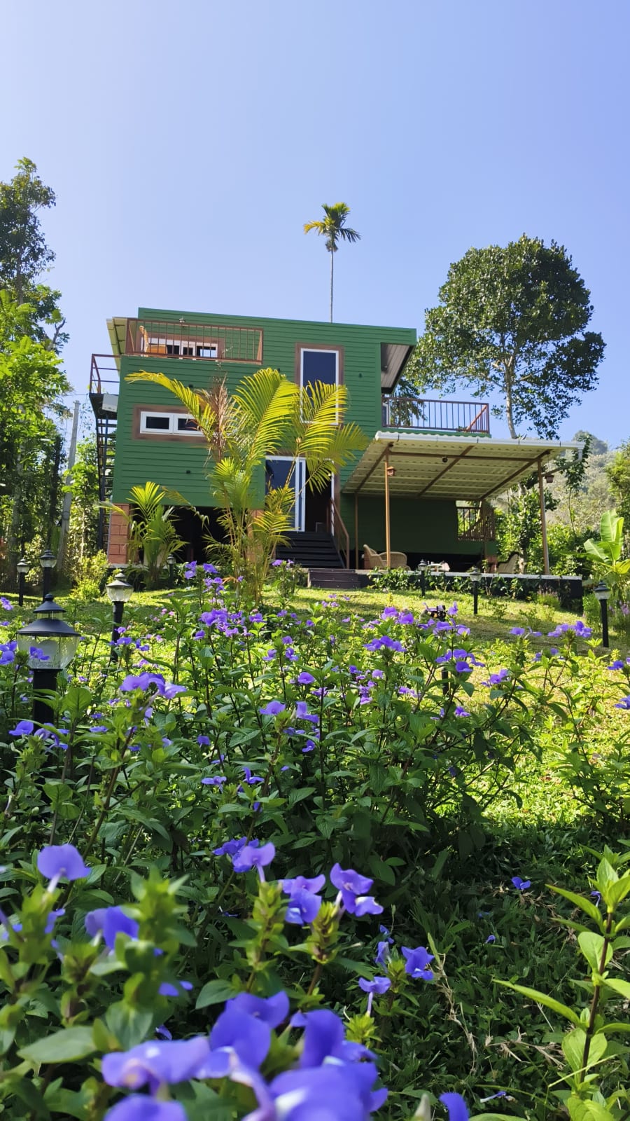 Sapovnela - Hillside Spice Estate — Cottage in Idukki, Kerala, photo 7