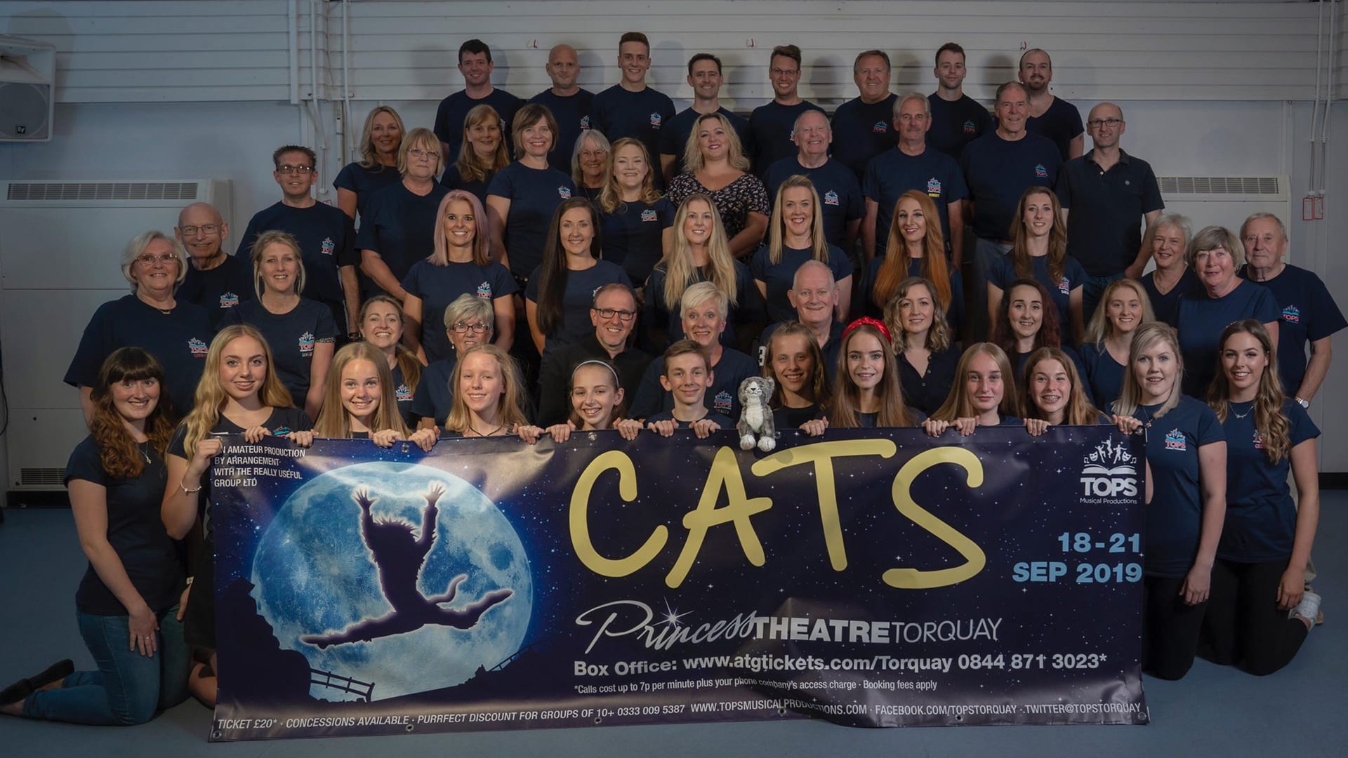 Cats