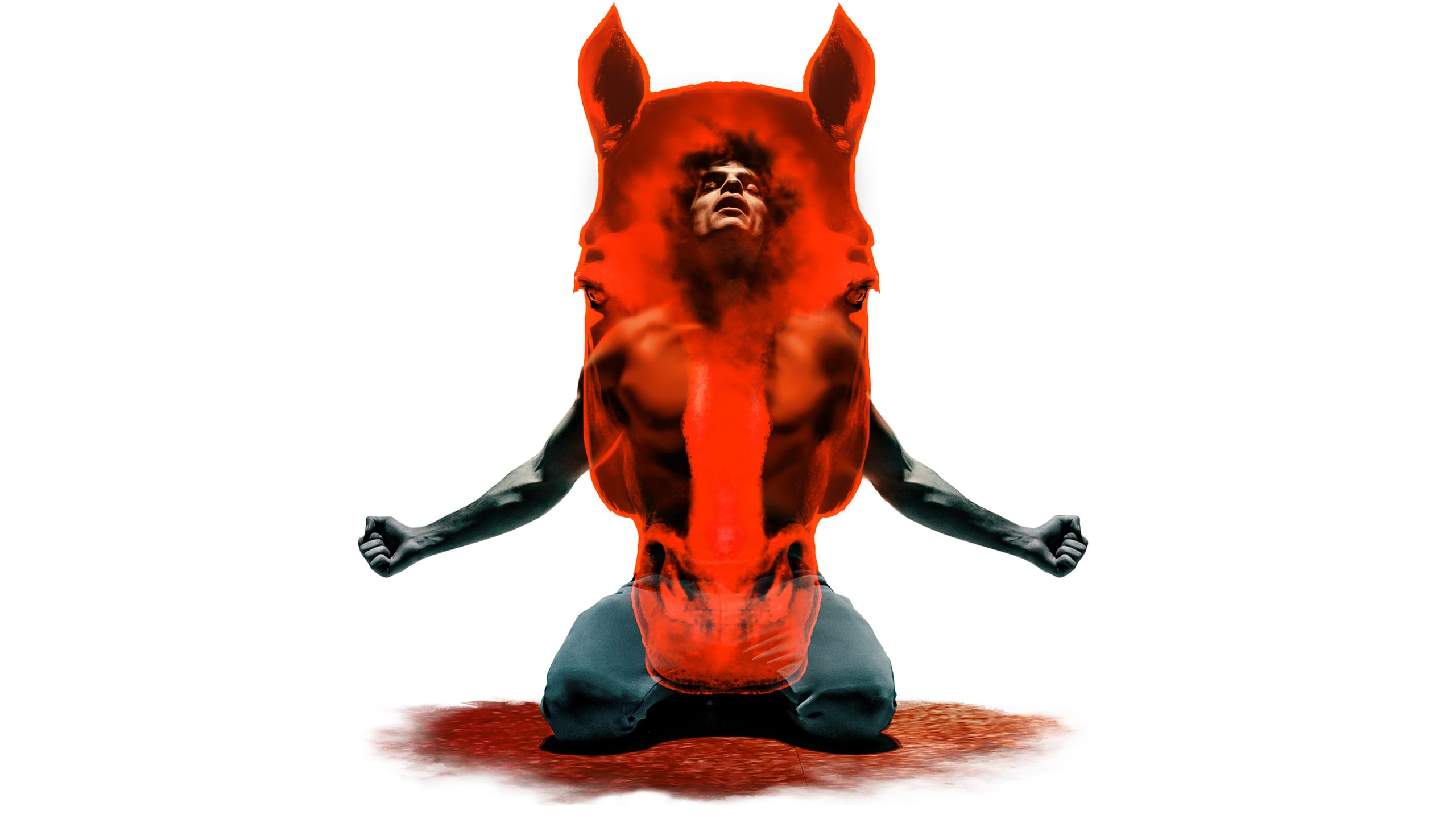 Equus