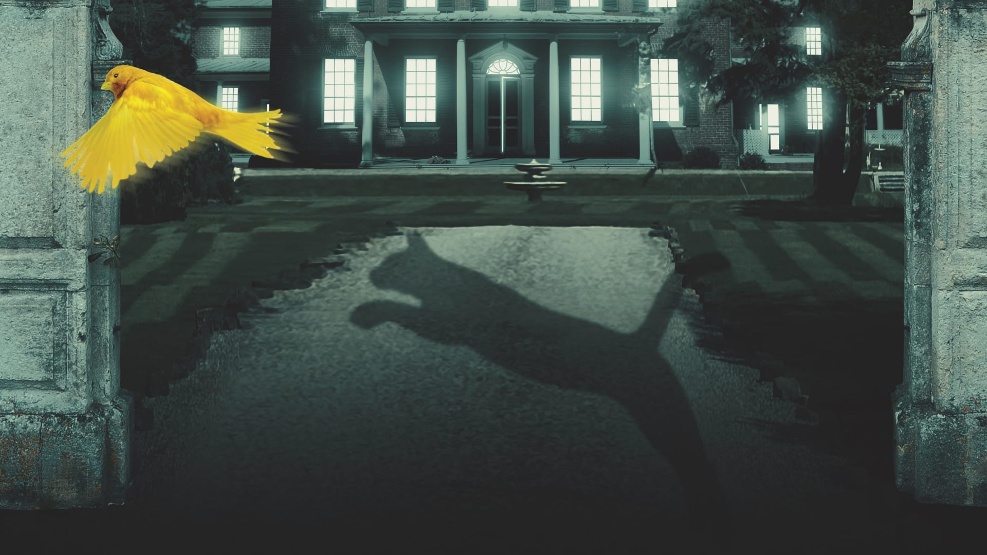 The Cat and the Canary