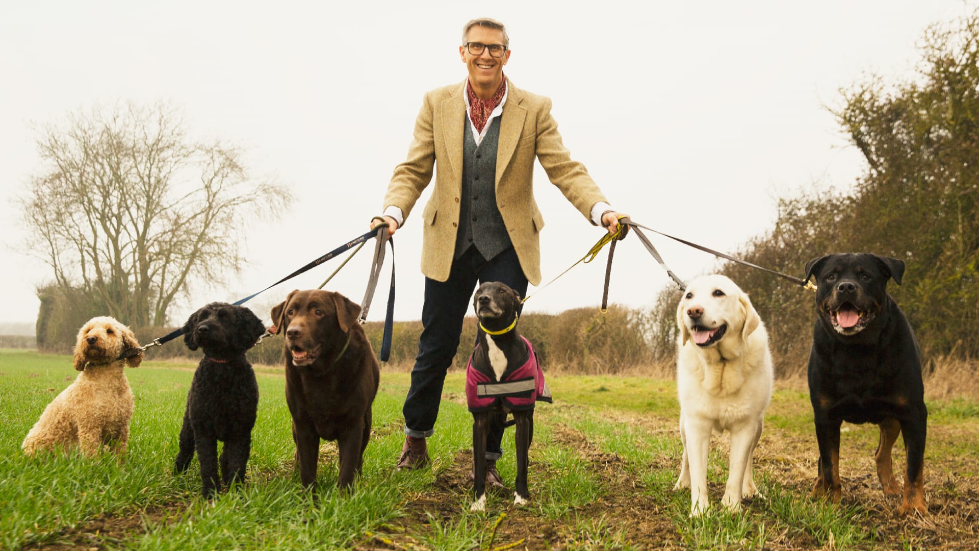 Graeme Hall - The Dogfather