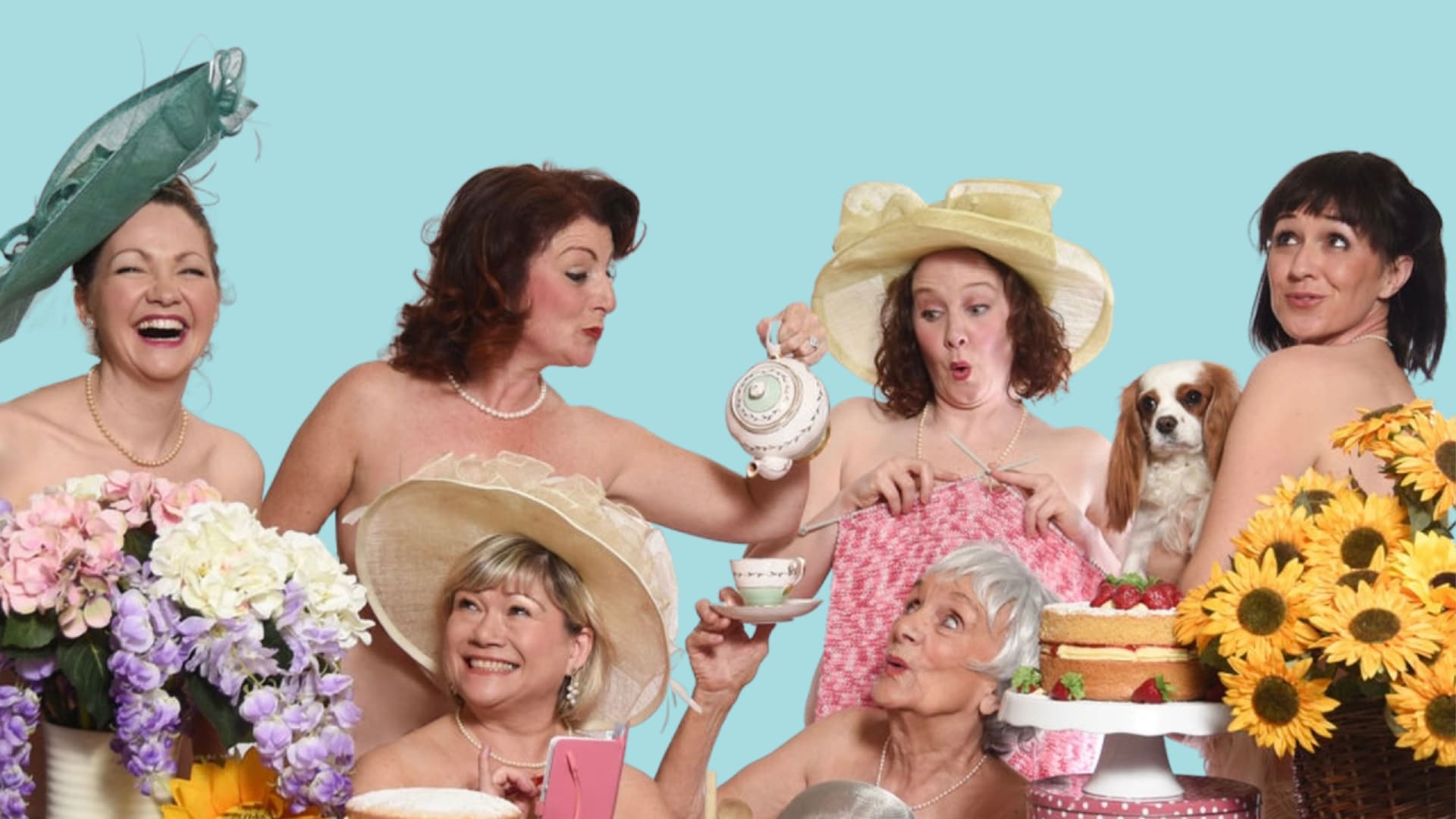 Calendar Girls The Musical (BHOS presents)