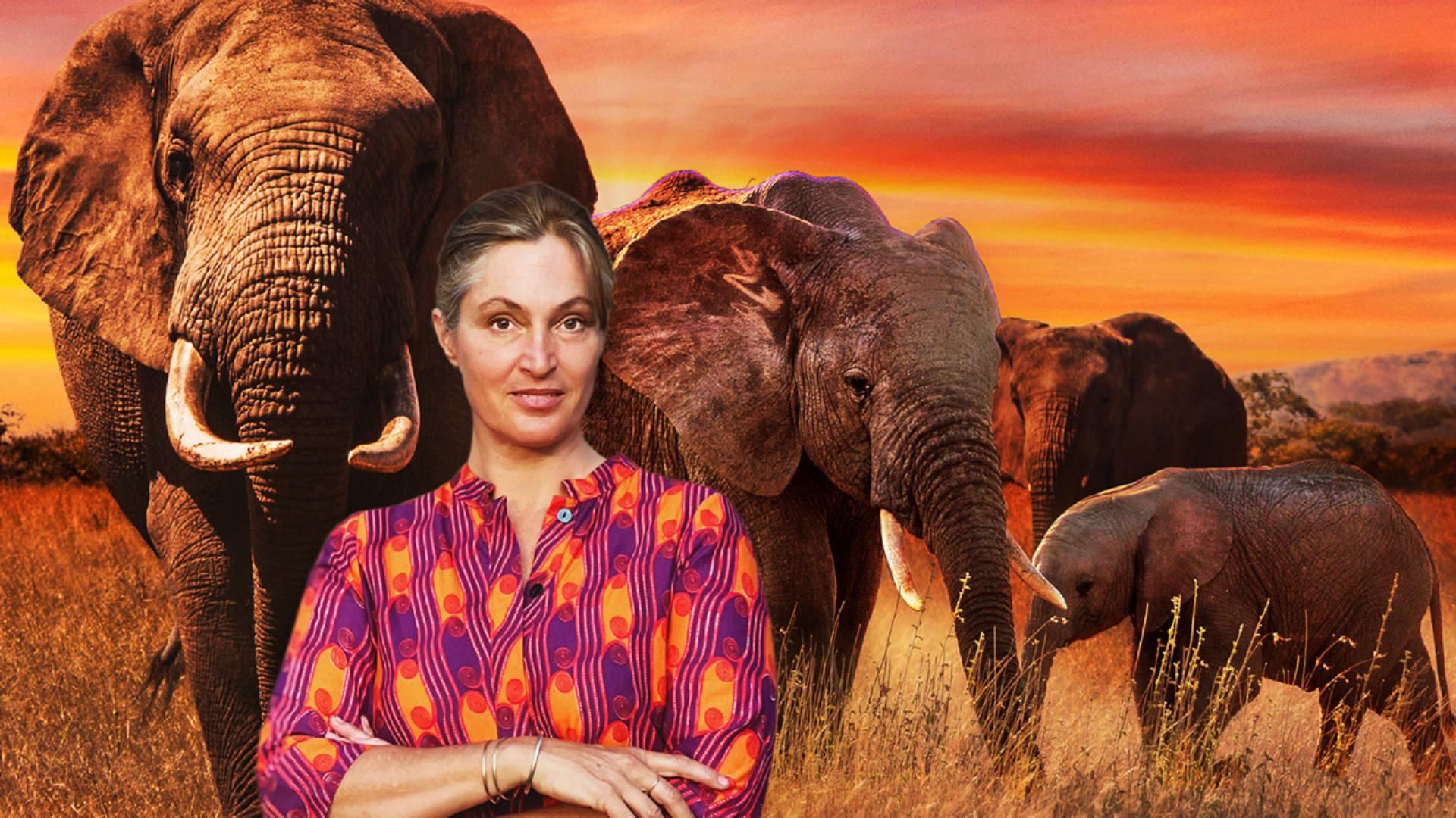 Saba Douglas - Hamilton: The Elephant Footprint Prod Shot