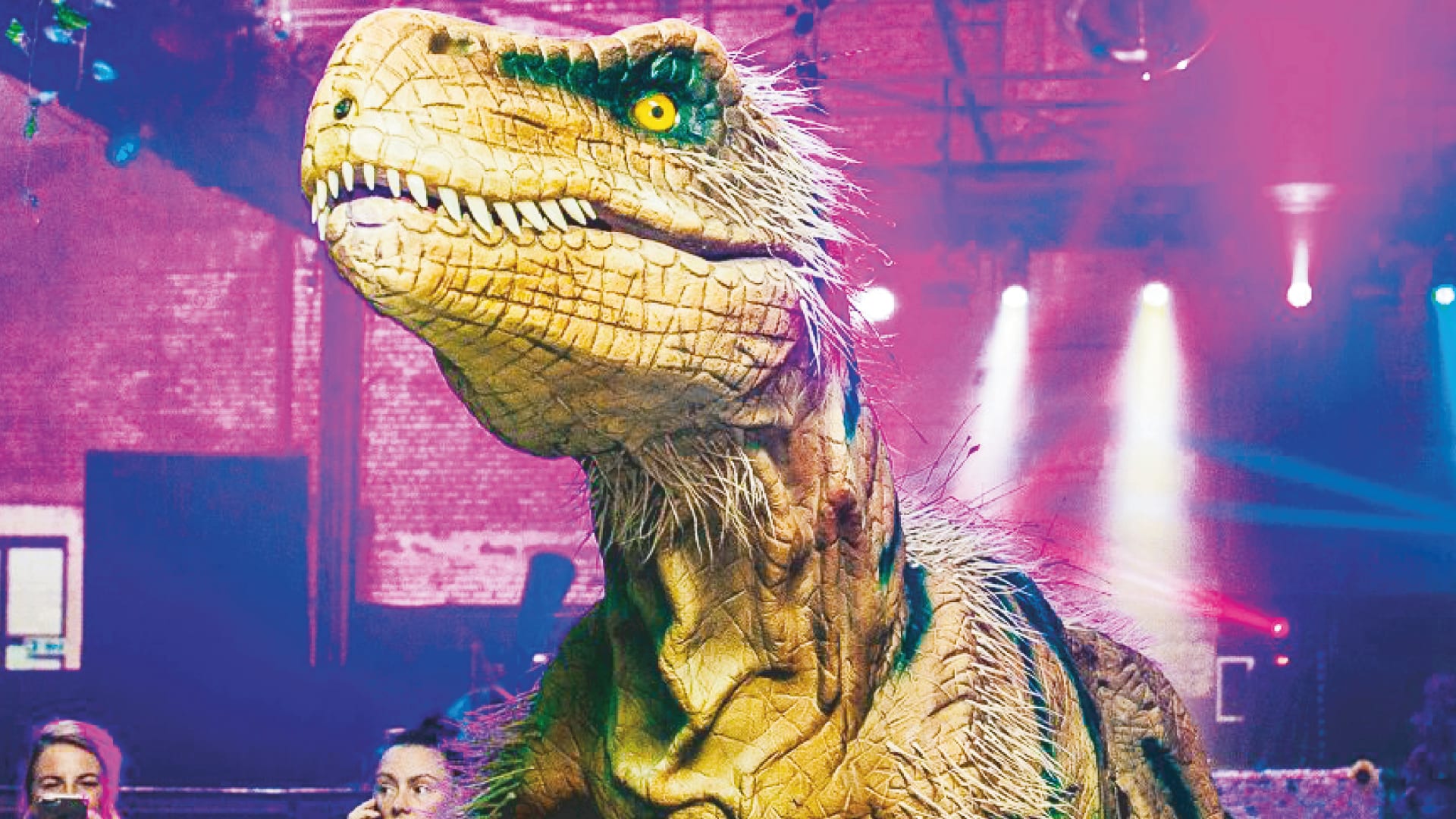 Teach Rex