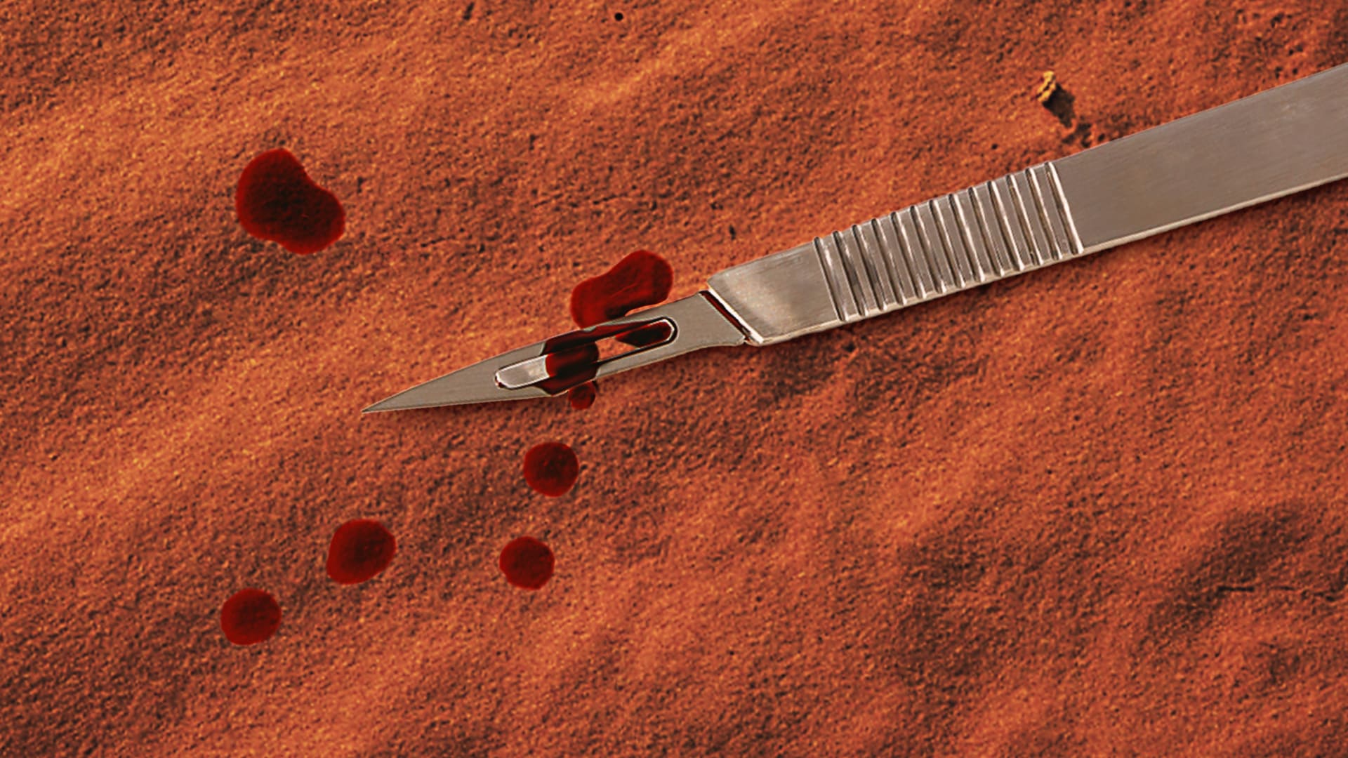 Frankenstein - Fragments of War