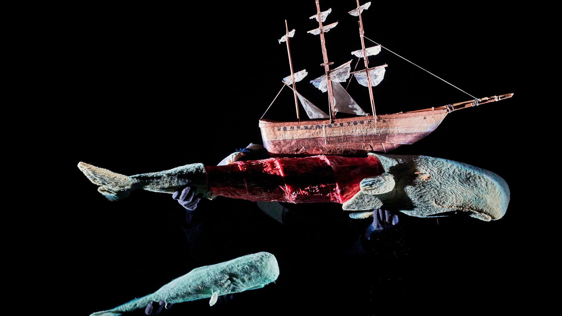 Brighton Festival - Moby Dick
