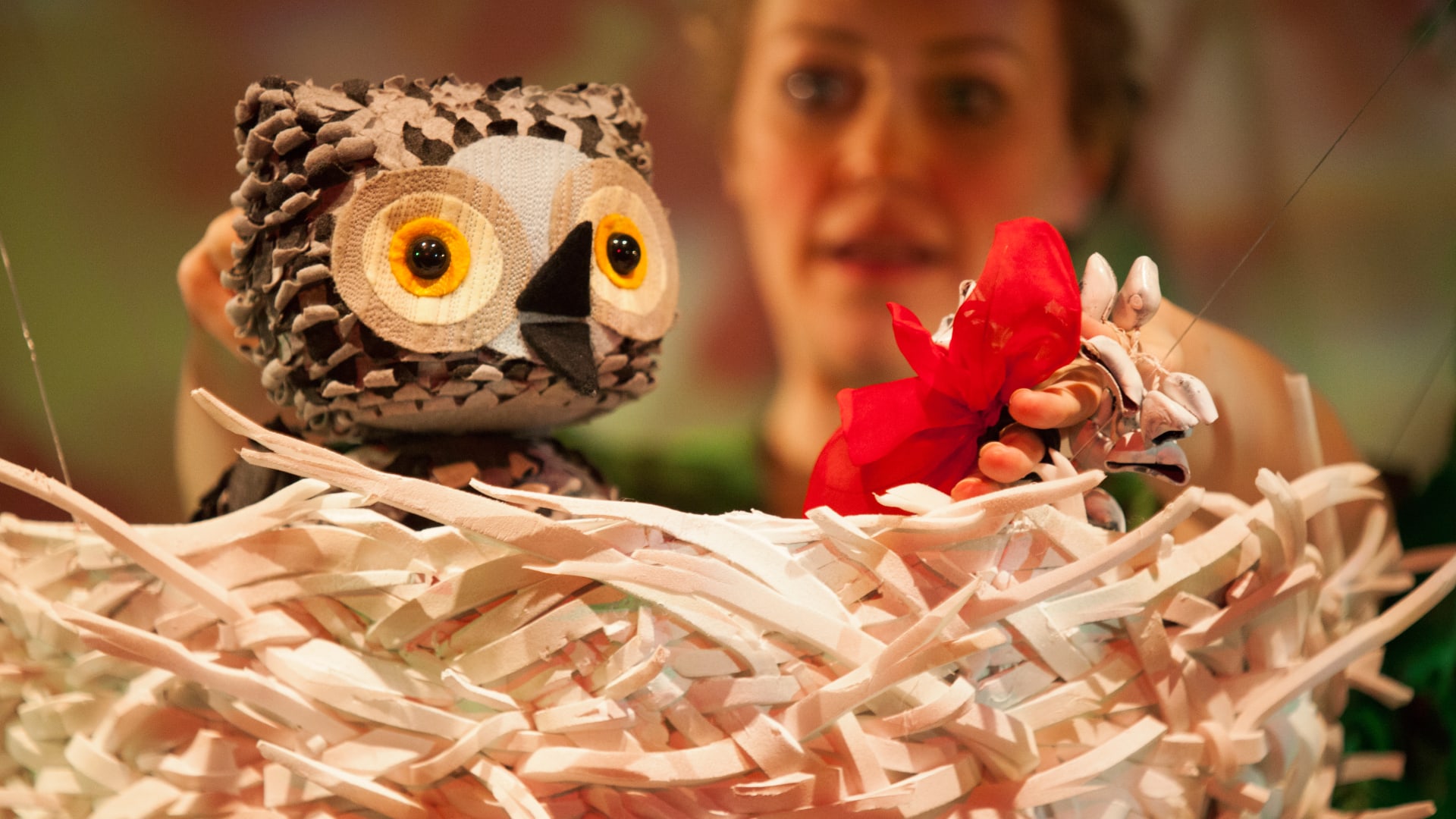 Wow! Said the Owl