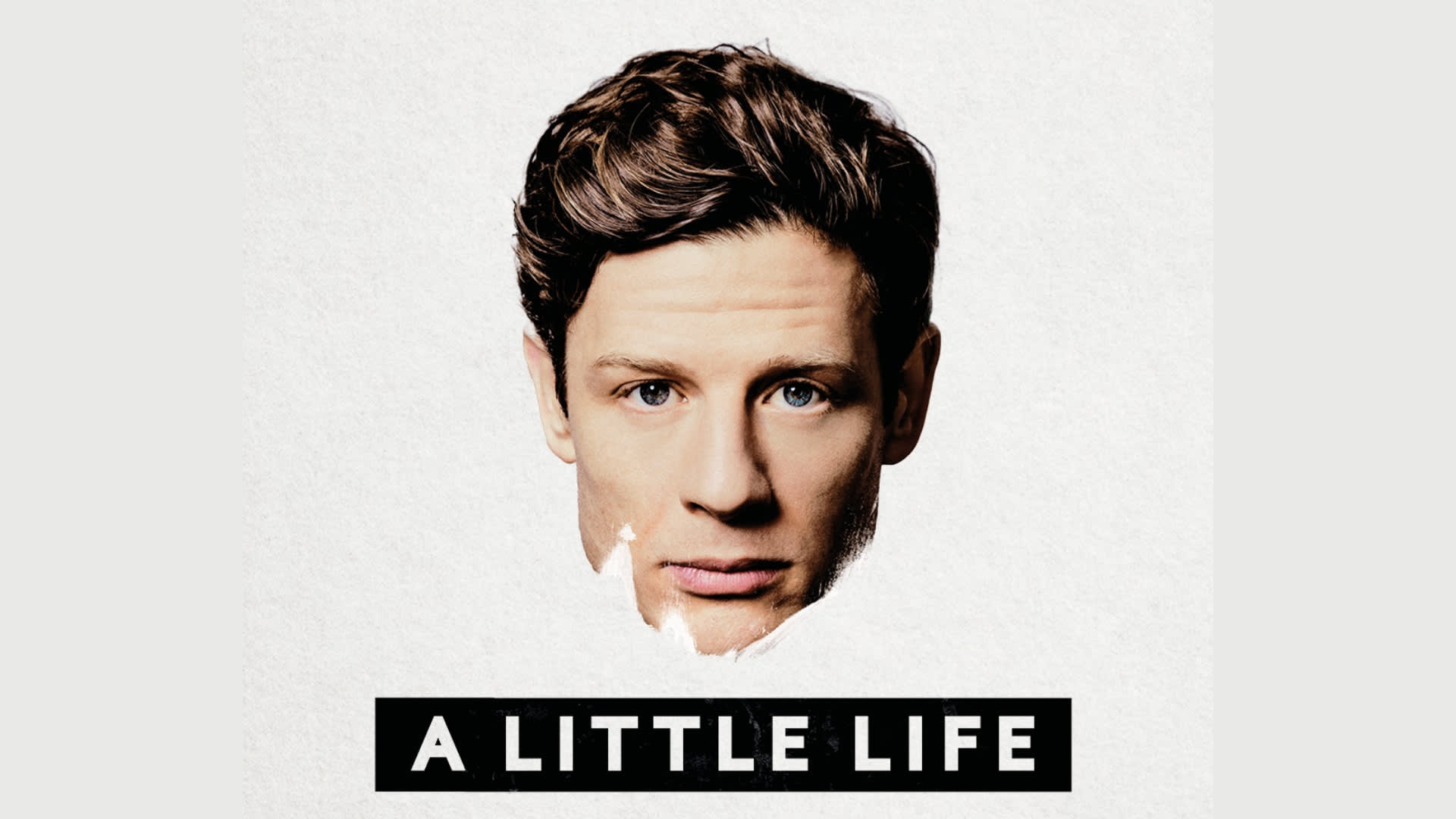A Little Life Screening