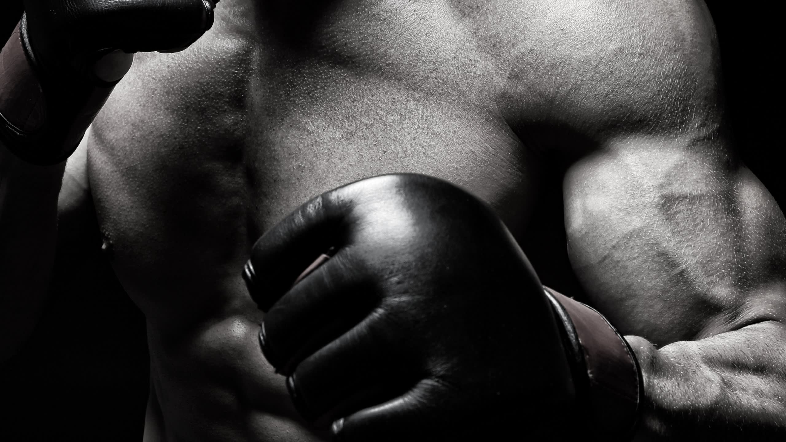BUDO Combat League