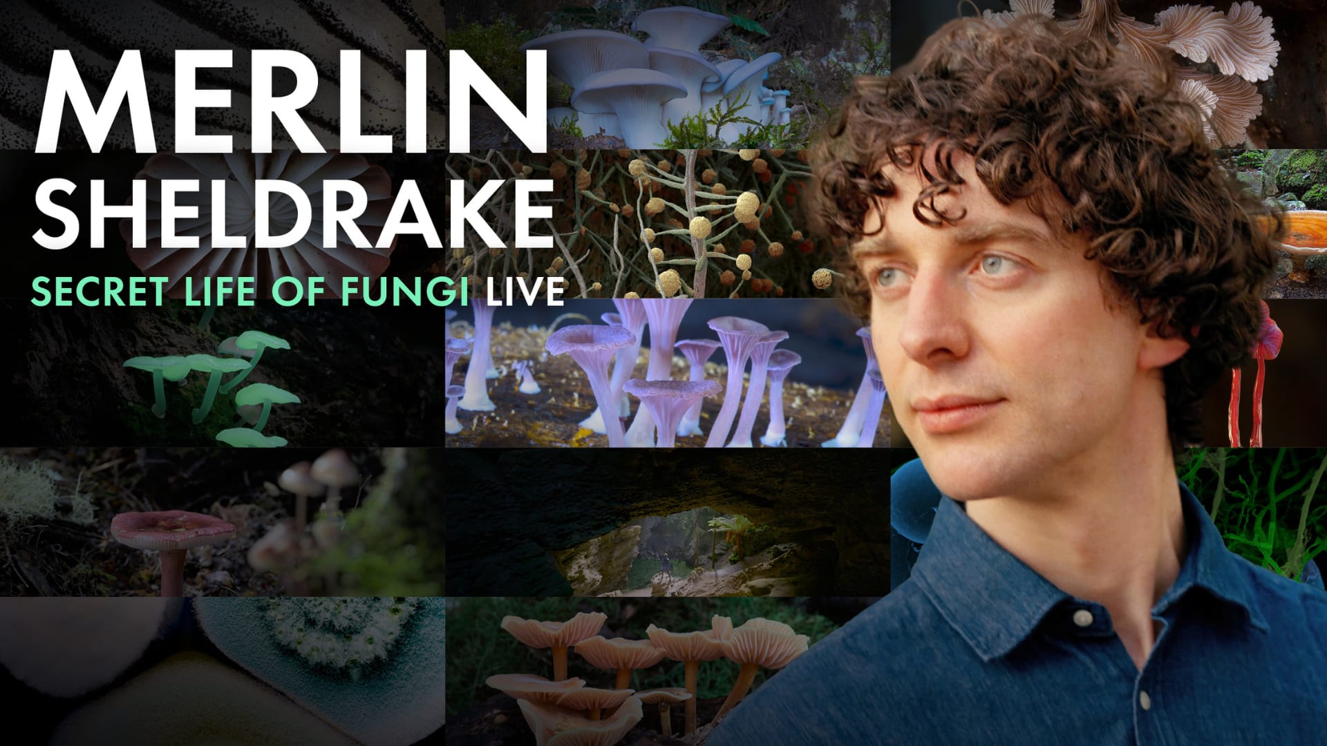 Merlin Sheldrake - The Secret Life of Fungi LIVE