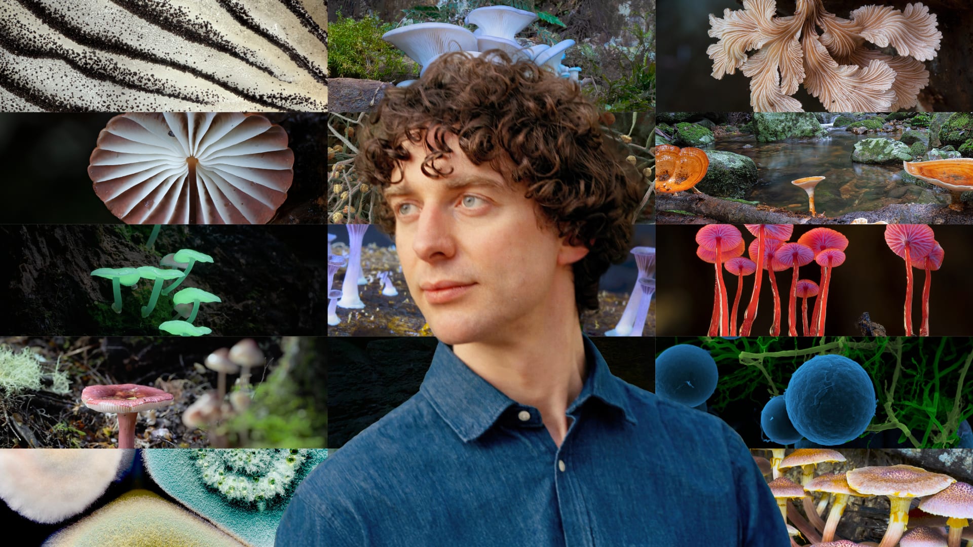 Merlin Sheldrake - The Secret Life of Fungi LIVE