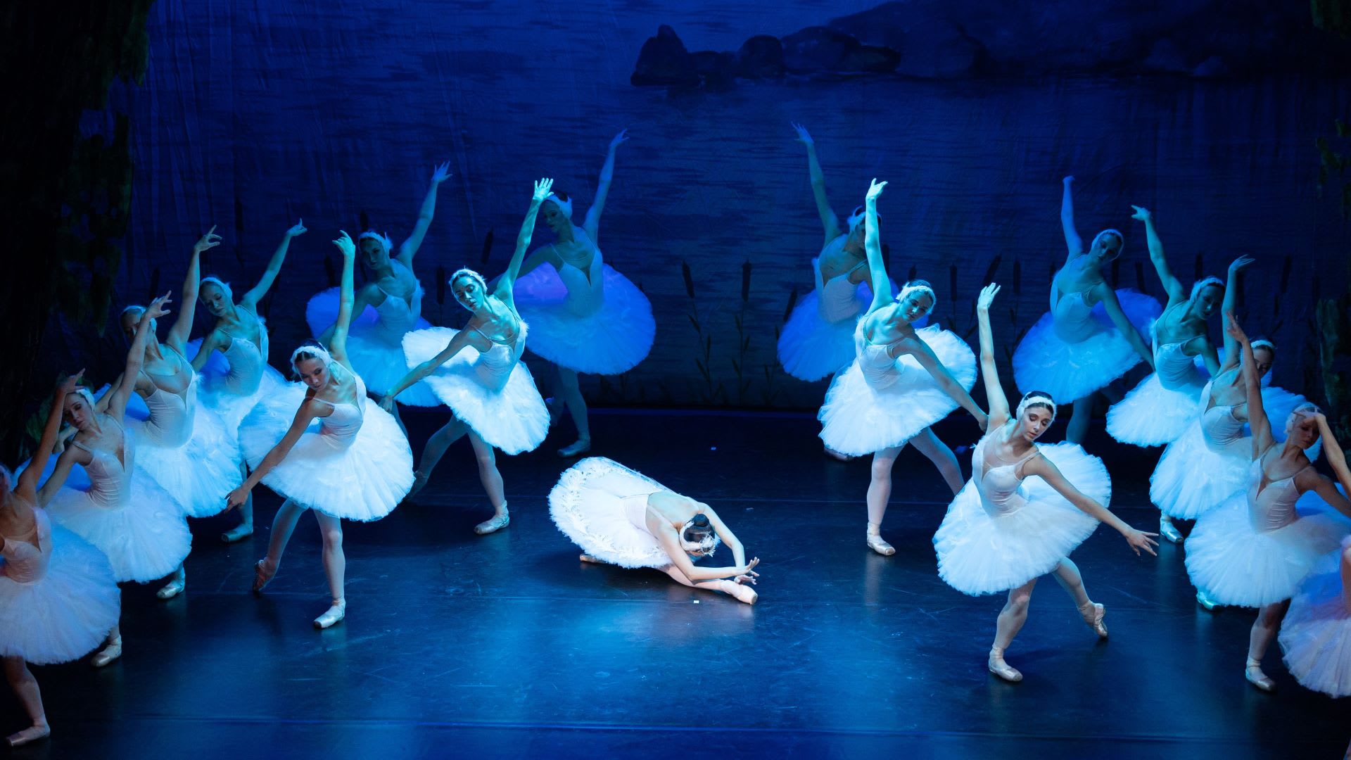Swan Lake