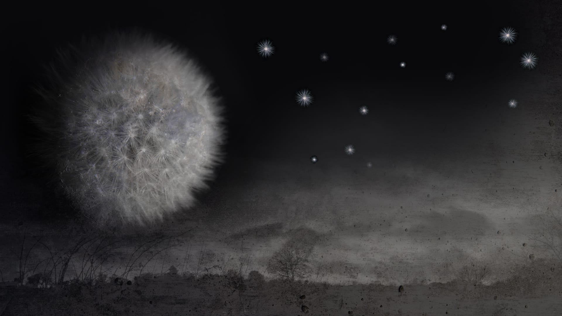 CTG Presents: Cyrano de Bergerac by Edmond Rostand