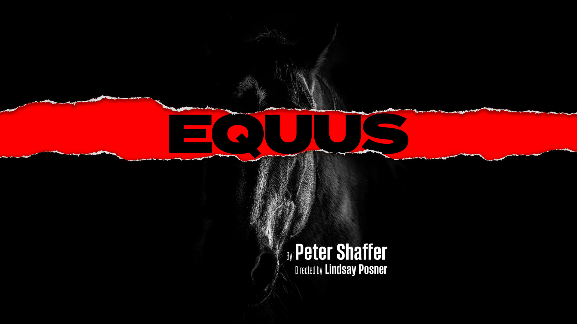 Equus