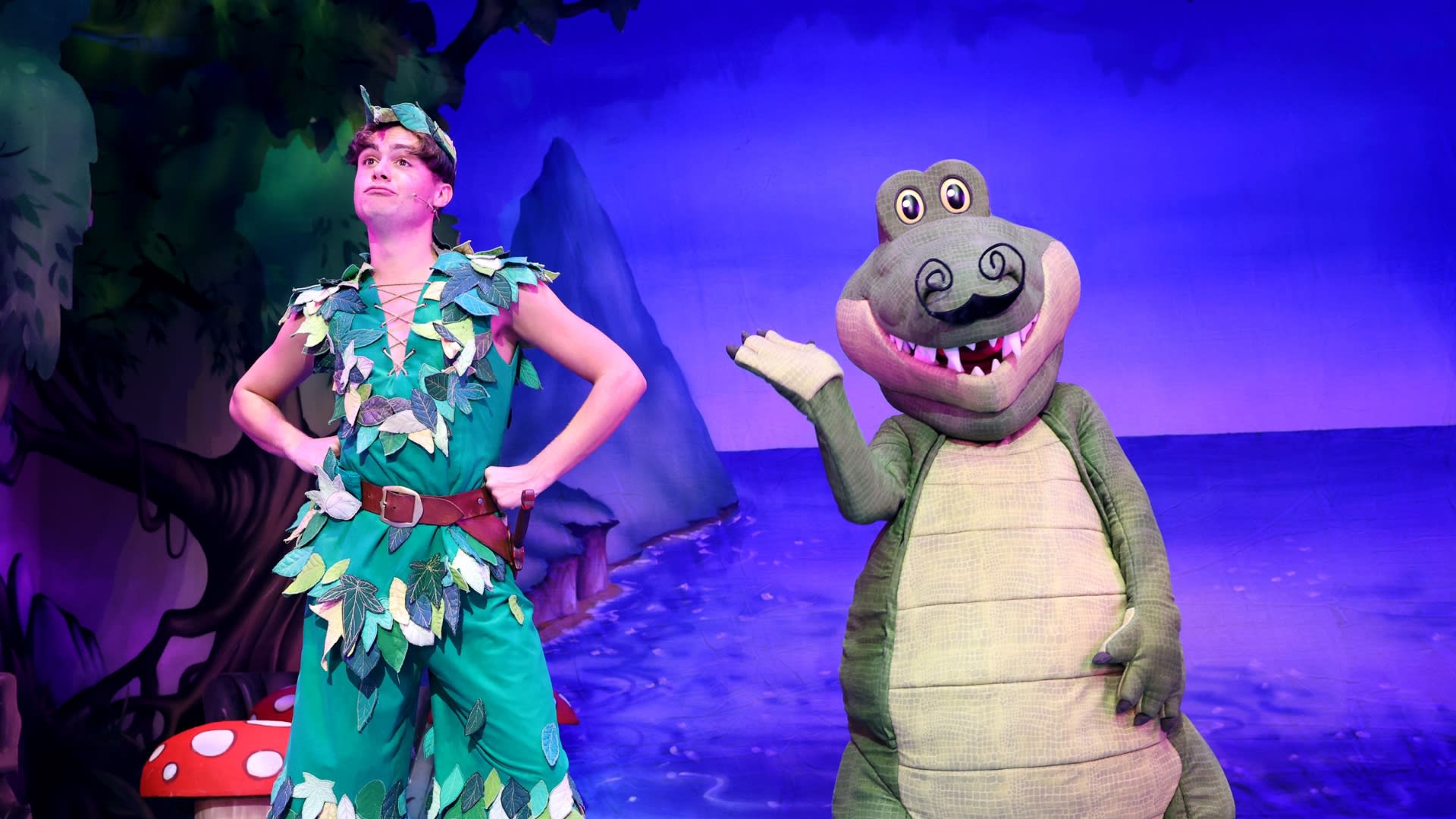 The Further Adventures of Peter Pan: The Return of Captain Hook (Pantomime)