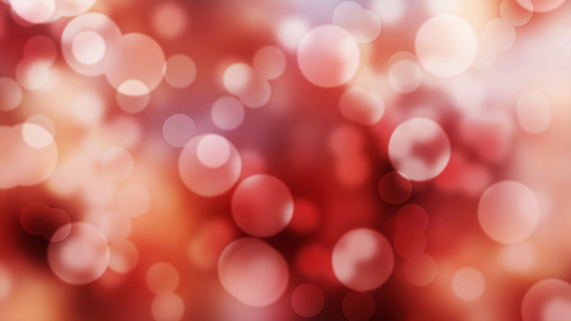 MASH Productions presents Kinky Boots The Musical