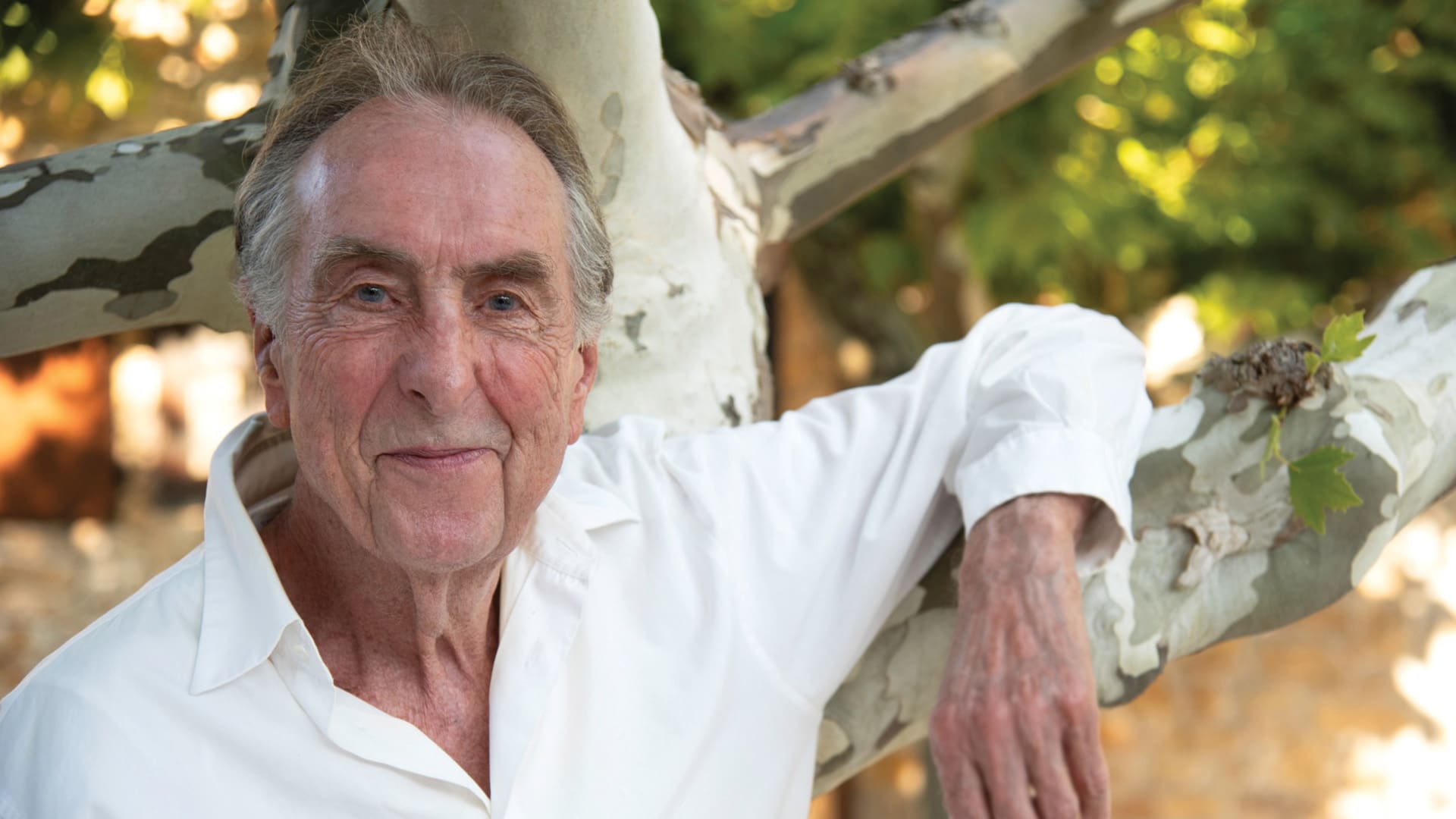 Eric Idle: Idle in Provence