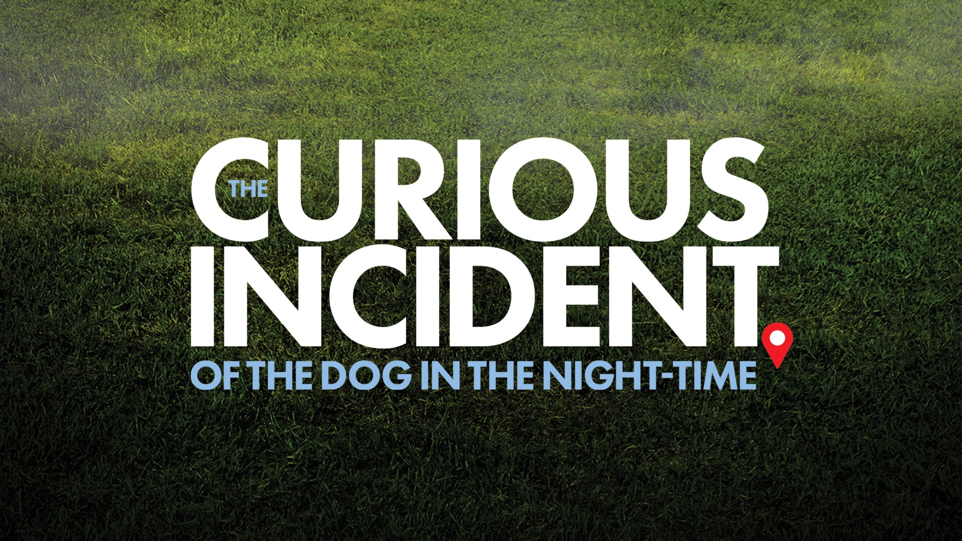 The Curious Incident of the Dog in the Night-Time