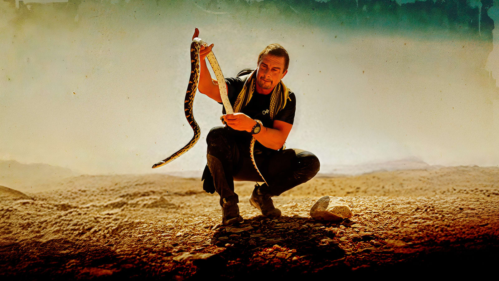 A man crouching on rocky desert ground, holding up a large patterned snake against a hazy teal and sandy-gold background.