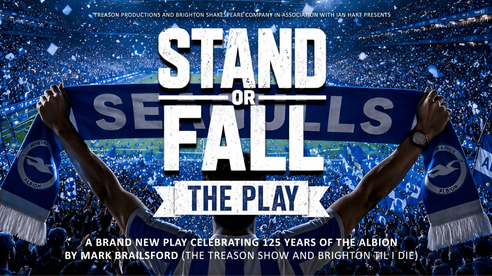 Promotional poster for Stand or Fall – The Play with bold white lettering over a stadium crowd scene and a Seagulls scarf in the foreground.