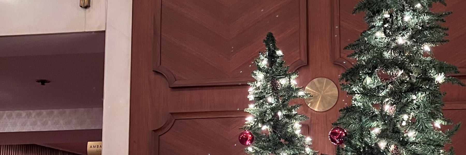 Holiday Magic Pass