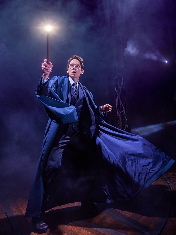 Harry Potter and the Cursed Child on X: Get a closer look at the new  Hogwarts house banners from #HarryPotterPlay #CursedChild! #KeepTheSecrets   / X