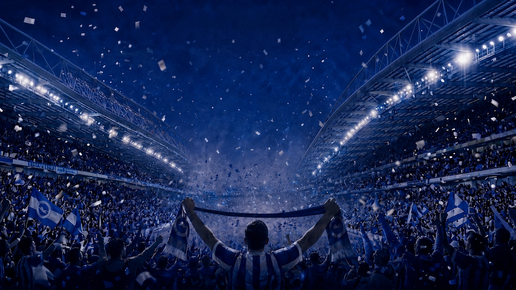 Stand or Fall - The Fall and Rise of Brighton and Hove Albion