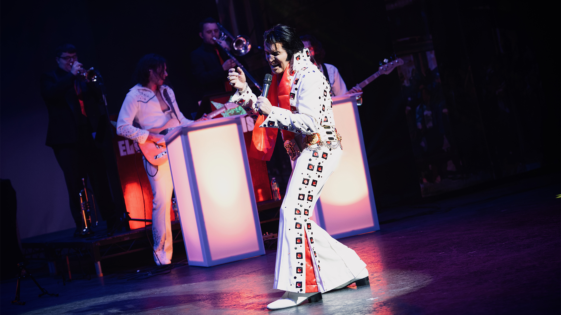 A Vision of Elvis