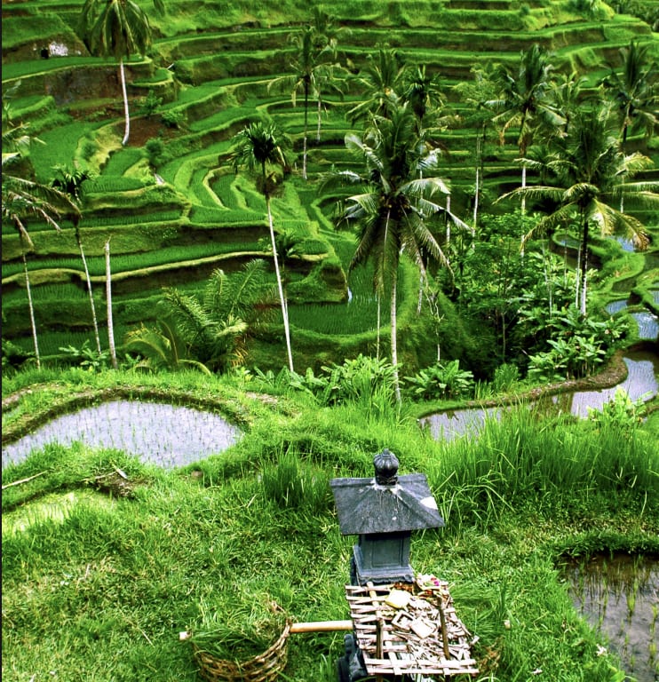 BALI ADVENTURE (WOMEN ONLY)