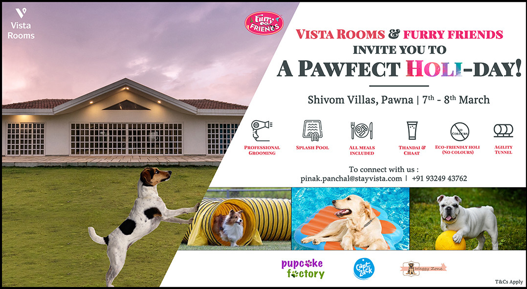 A Pawfect Holi-day by VISTA ROOMS