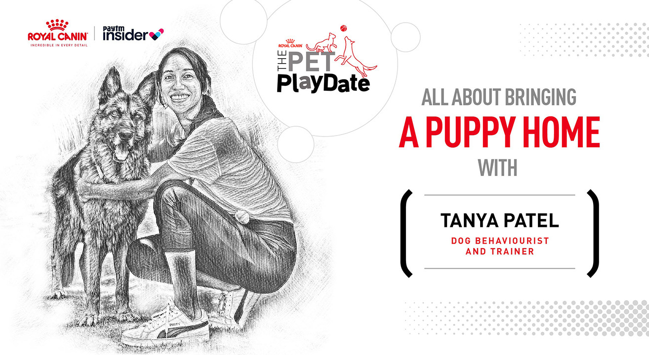 The Pet Playdate with Royal Canin Feat. Tanya Patel