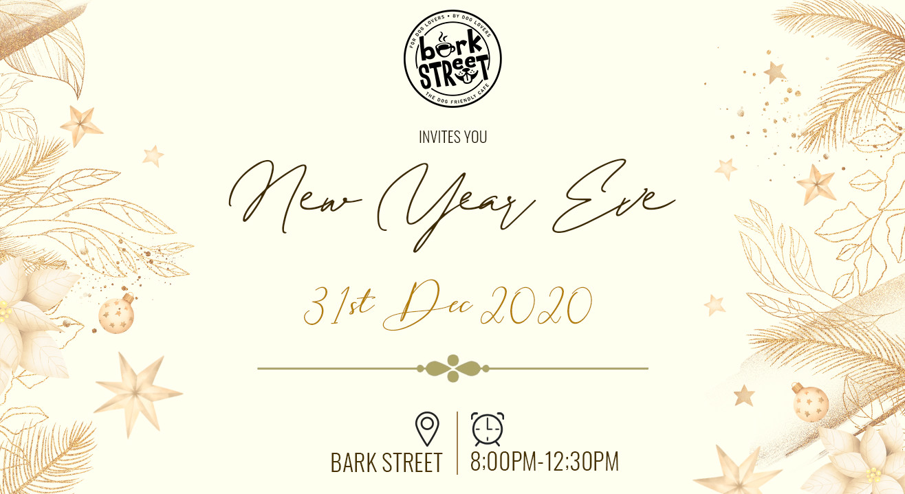 New year’s eve celebration| BARK STREET