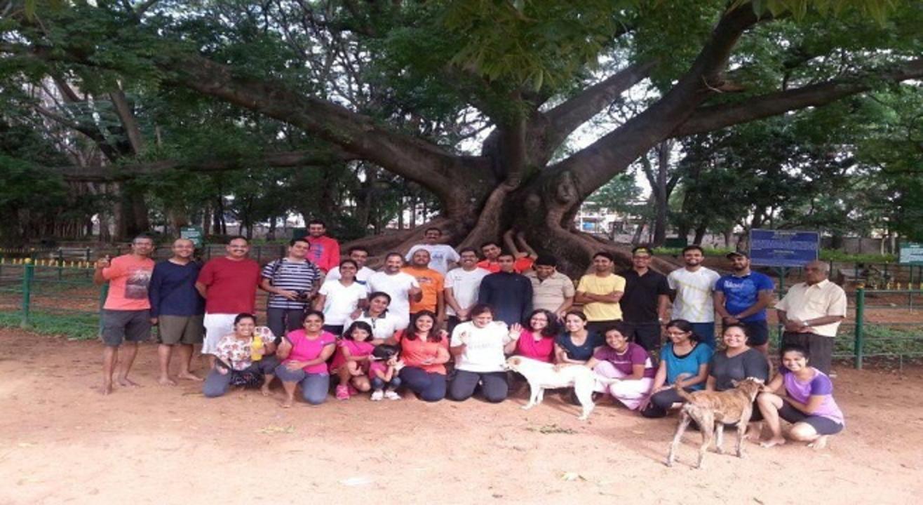 Lalbagh Walk