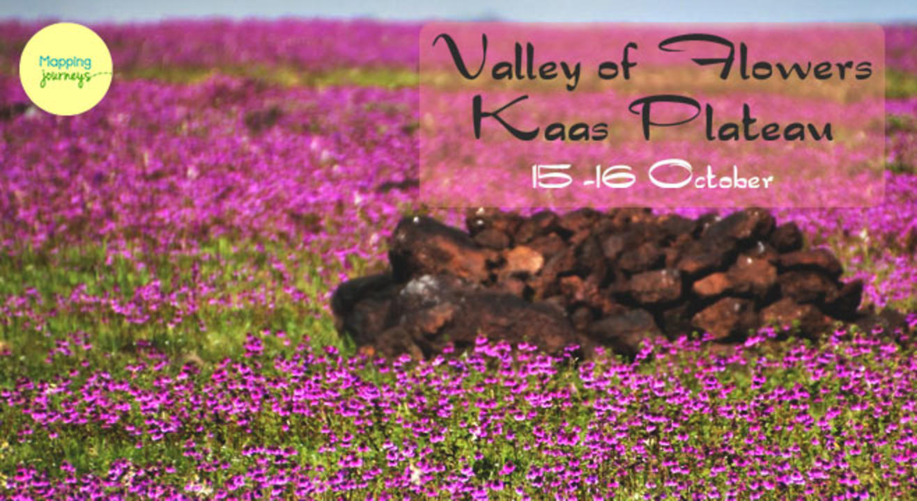 Offbeat Tour to Kaas Plateau