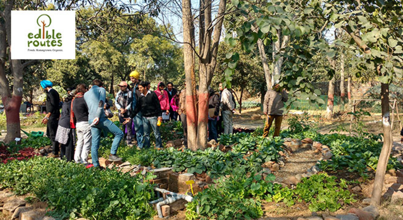 Introduction To Urban Farming - A Hands-On Workshop