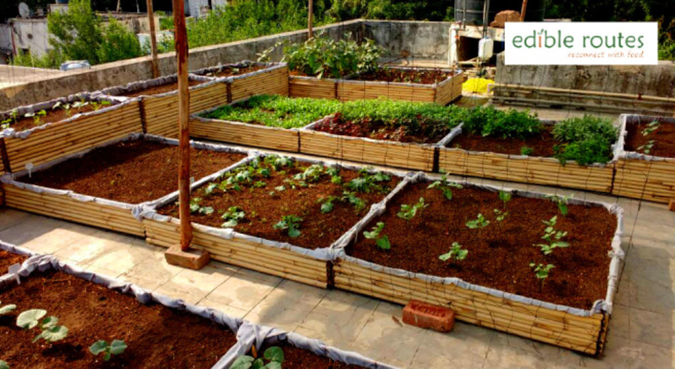 Intro to Urban Farming: A Hands-on Workshop