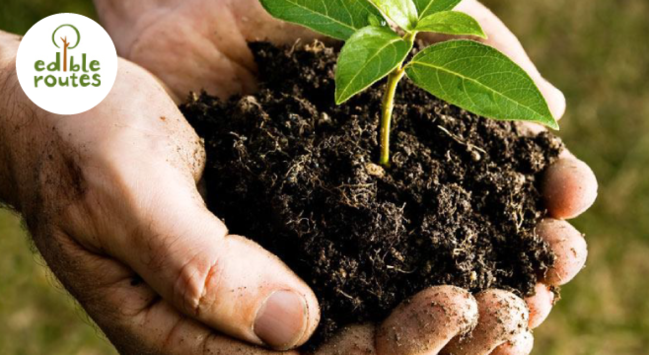 Keep Your Soil Happy! The Soil Health Workshop