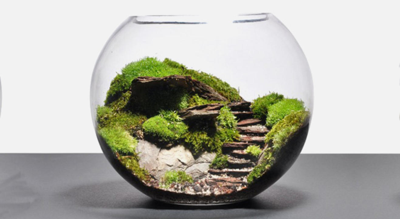 Terrarium Workshop