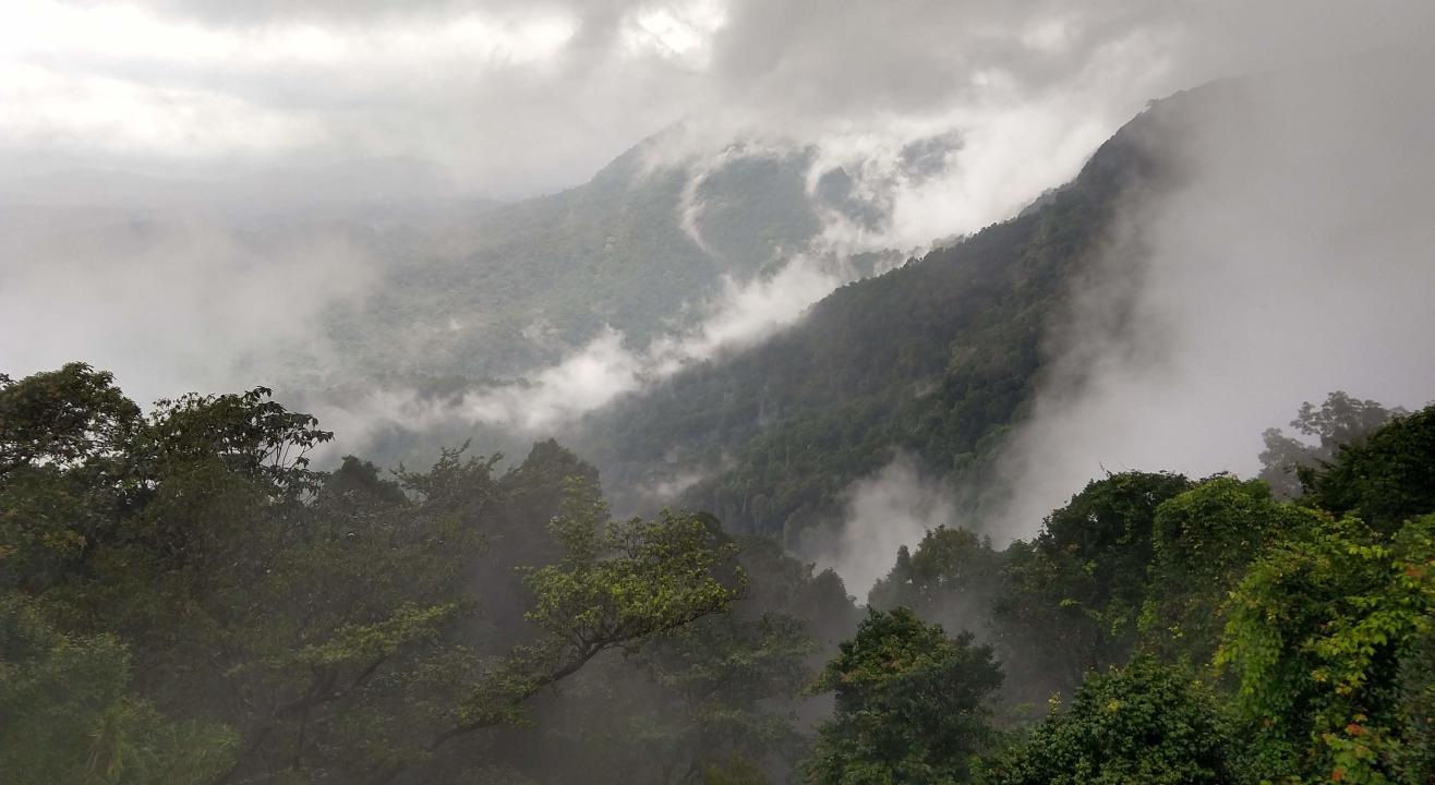 Experience Monsoon at Agumbe