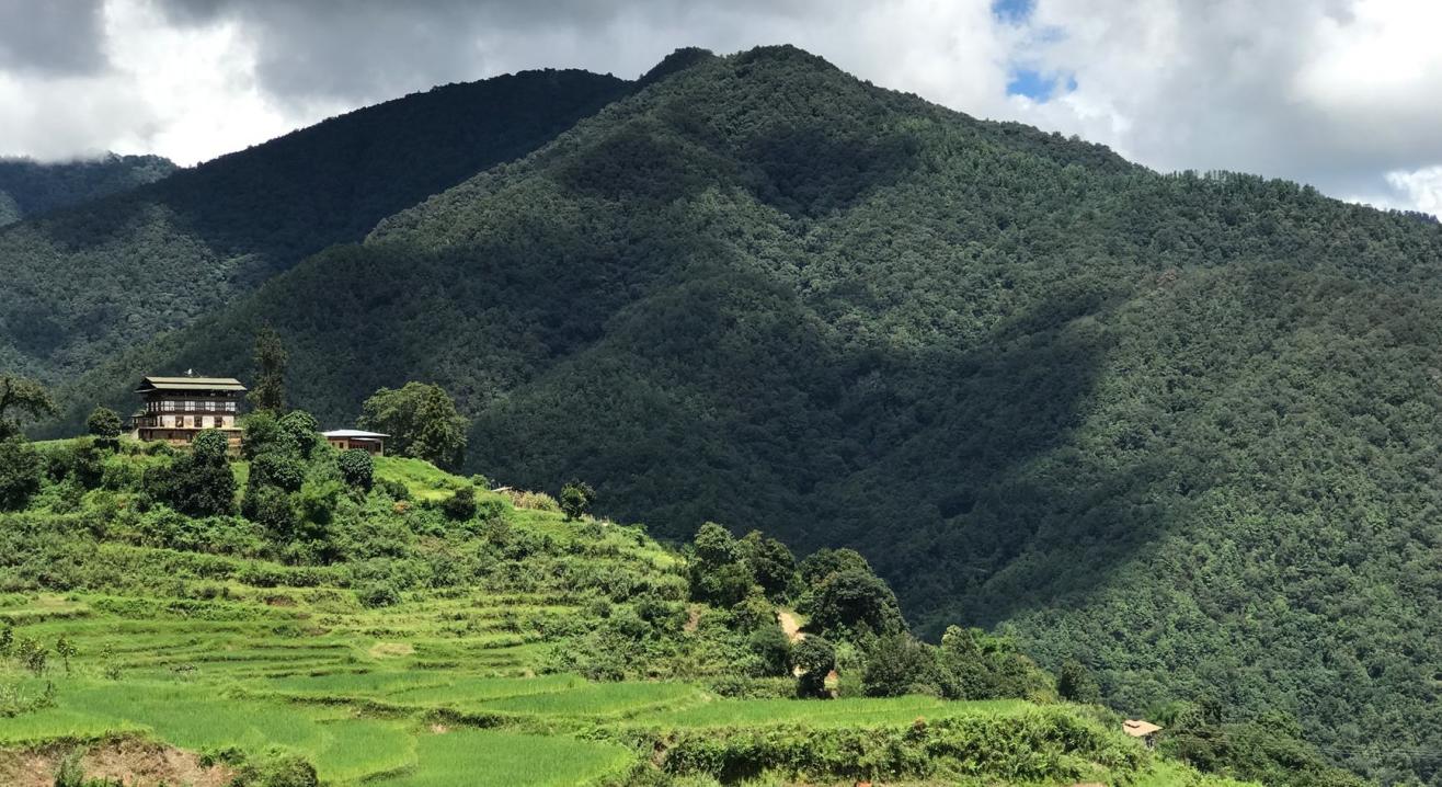 Discover the Journey along the Gigantic Himalayan Ranges