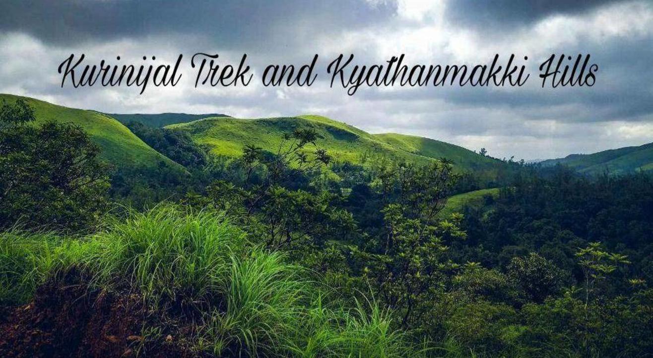 The Mesmerizing Kyatanmakki Hills & Kurinjal Trek | Namma Trip