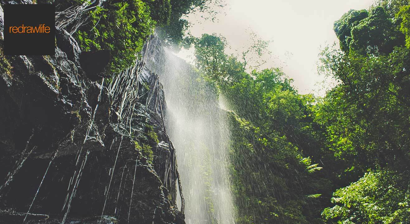 Monsoon Trek To Kodachadri