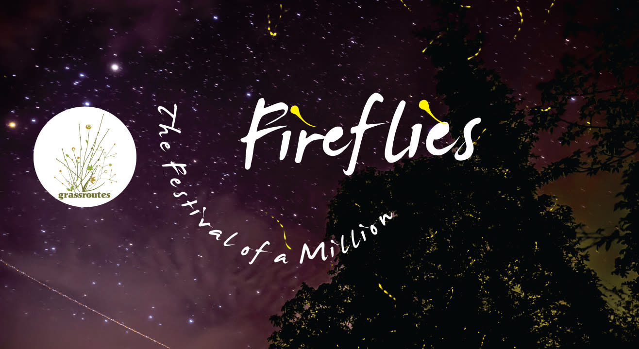 The Festival of a Million Fireflies