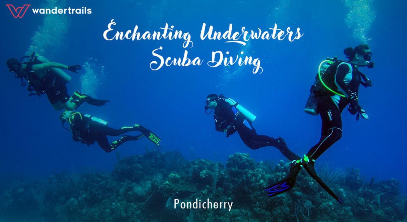 Enchanting underwaters - Scuba Diving in Pondicherry