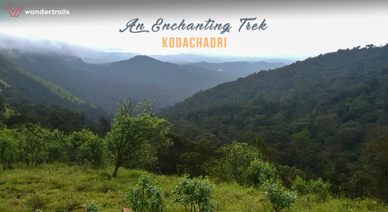 An enchanting trek to Kodachadri | Wandertrails