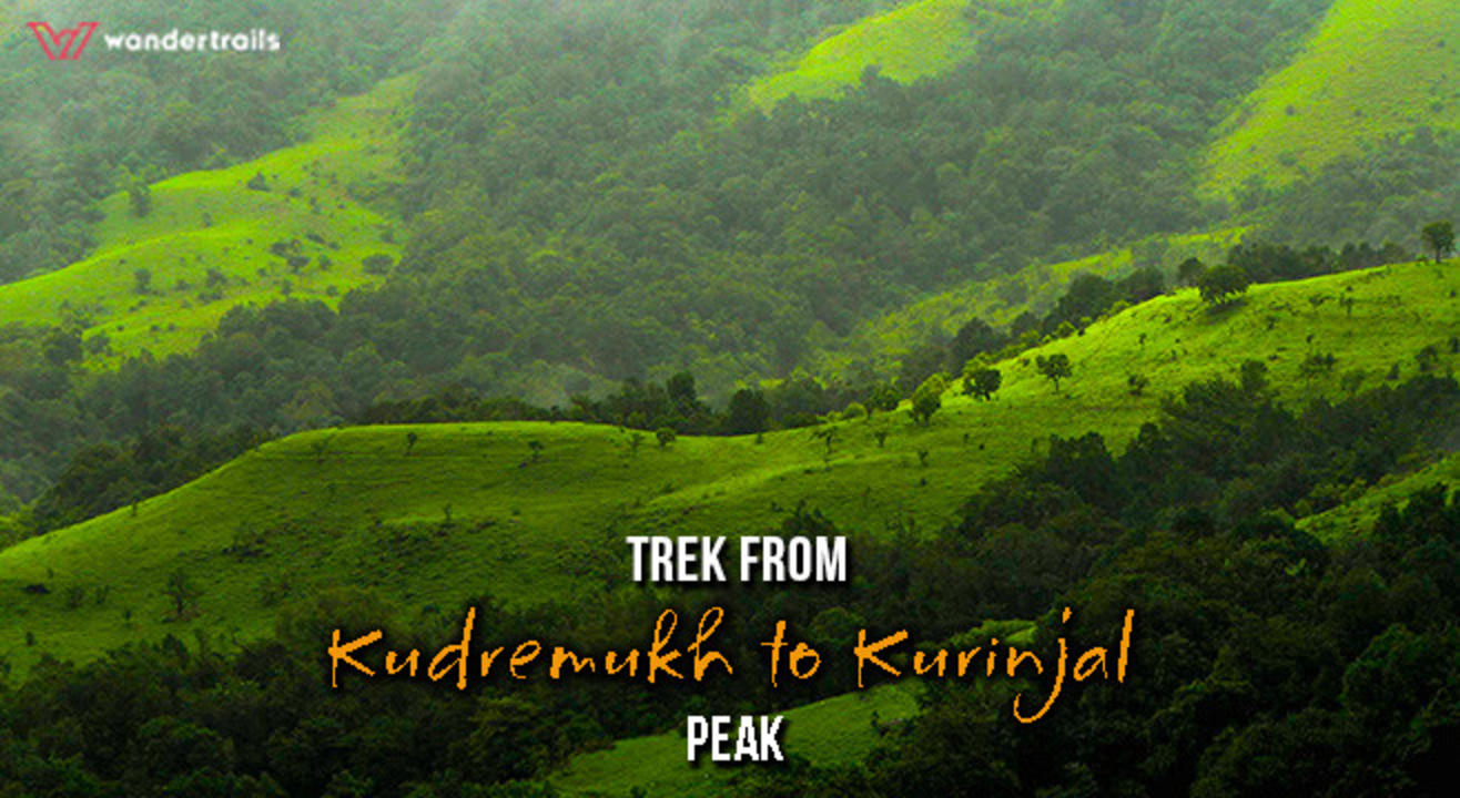 Trek through lush greenery of Kudremukh to Kurinjal Peak